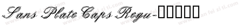 Sans Plate Caps Regu字体转换